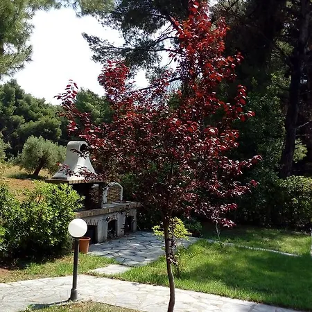 Sithonia Alekos Luxury Experience Lägenhet