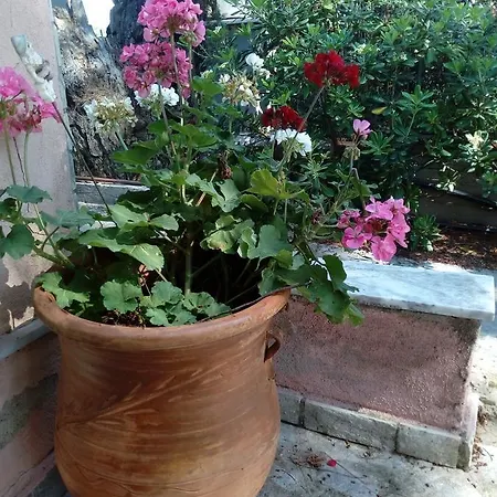 Sithonia Alekos Luxury Experience アパート メタモルフォシ