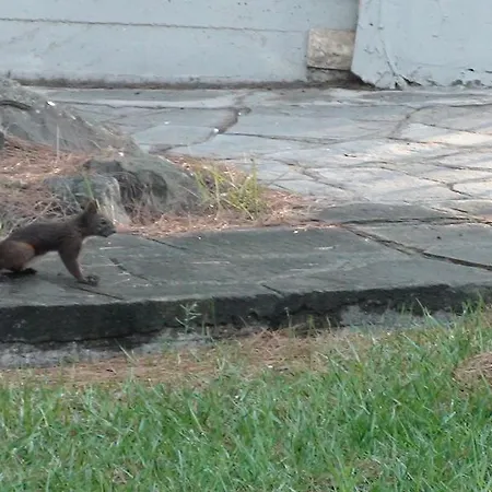 Sithonia Alekos Luxury Experience