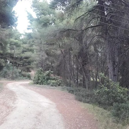 Sithonia Alekos Luxury Experience アパート メタモルフォシ