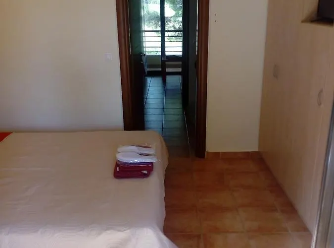 公寓 Sithonia Alekos Luxury Experience 美塔摩尔弗斯