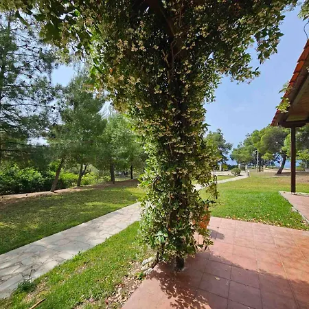 Appartement Sithonia Alekos Luxury Experience *