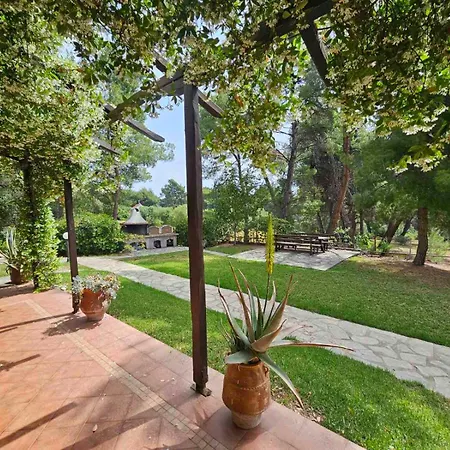 Sithonia Alekos Luxury Experience